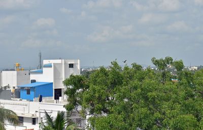 From hotel balcony - India-2-1218