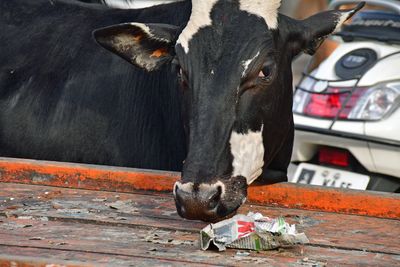 At the news thats fit to eat! - India-2-1290