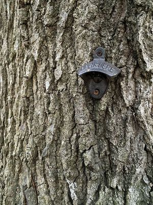 01-26 This must be the place i5323