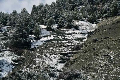 05 01 Utah19-1-9937