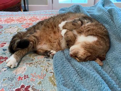 05-01 Hobbes understands... i6817