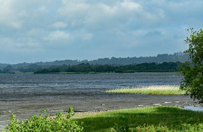 06-10 Muckross Lake 4664