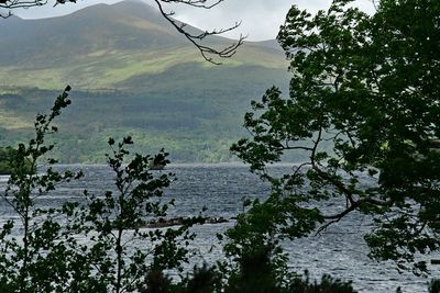 06-10 Muckross Lake 4667