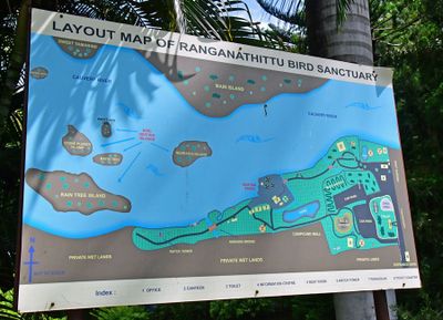 Ranganathittu Bird Sanctuary - India-2-1350