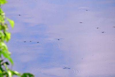 g13/31/528631/3/173857896.b279bd70.JPEG