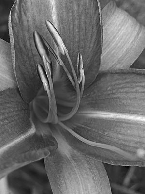 06-30-i8399bw