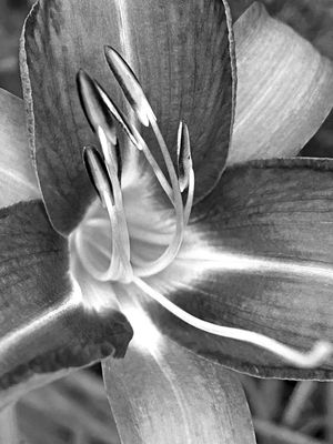 g13/31/528631/3/173895538.9cf38e7a.JPEG