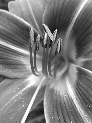 g13/31/528631/3/173906779.5e08f355.JPEG