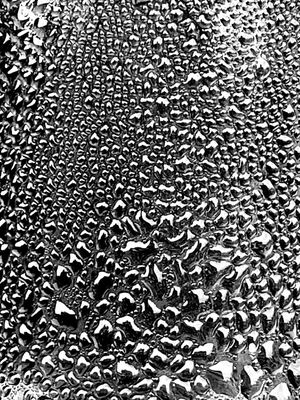 08-02-i9686bw