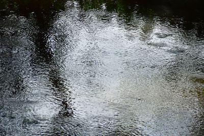 g13/31/528631/3/174021585.65818187.JPEG
