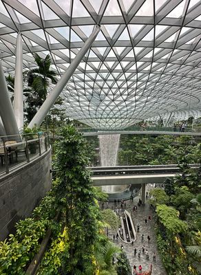 g13/31/528631/3/174056123.38d856c7.JPEG