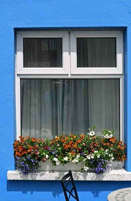 g13/31/528631/3/174061361.274af398.JPEG
