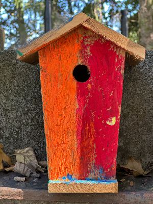 09-15 Ms. Bs bird house i2168