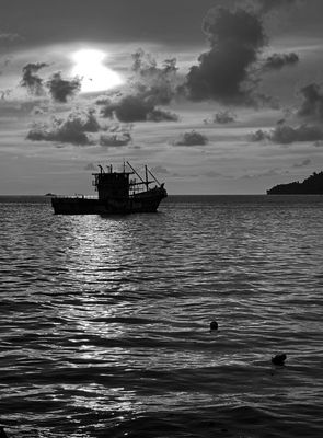 g13/31/528631/3/174107325.a5d96111.JPEG