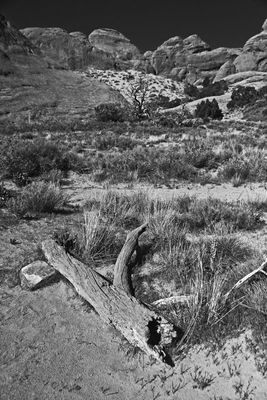 Utah19-2-0765bw