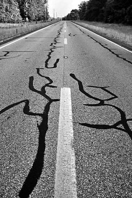Cecil, Alabama - 7276-11-bw