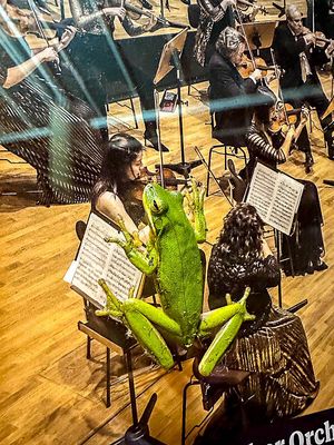 2023 11 17 Always wanted to play the violin i3318
