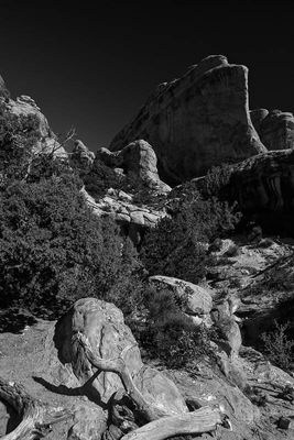 Utah19-2-0805bw