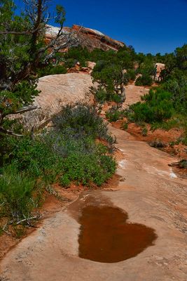 Desert water - Utah19-2-0818