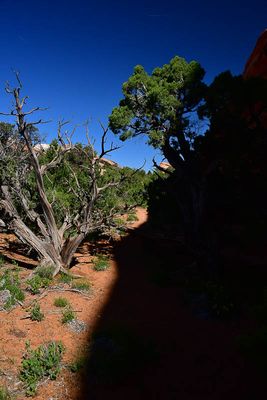 Hard shadowing - Utah19-2-0822