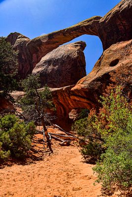 Arches Utah19-2-0931