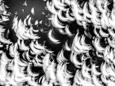 g13/31/528631/3/174467447.f83d5609.JPEG