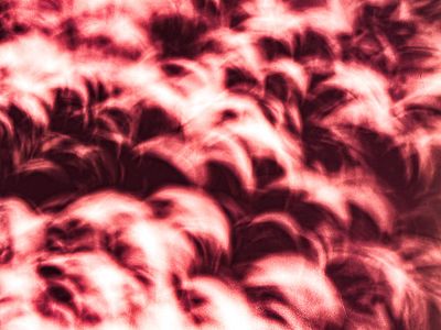 g13/31/528631/3/174467563.99f244e4.JPEG