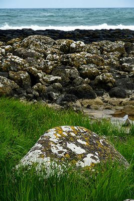 06 13 At Giants Causeway - 5066
