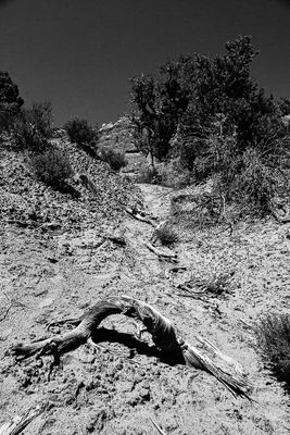 Utah19-2-1022-2bw