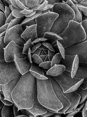g13/31/528631/3/174560756.b371503a.JPEG