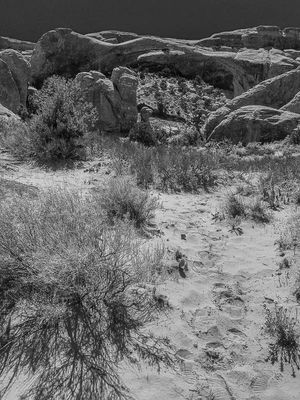 g13/31/528631/3/174565016.a6e690a1.JPEG