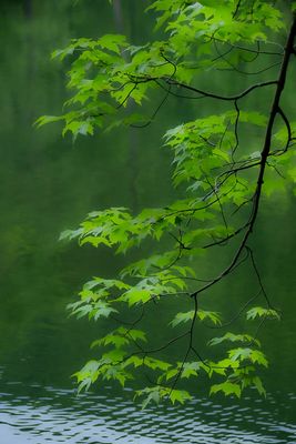 g13/31/528631/3/174594057.a690ba28.JPEG