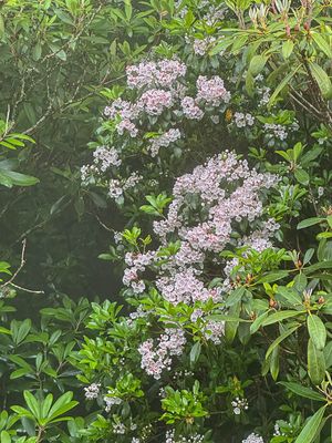 g13/31/528631/3/174616919.a963091f.JPEG