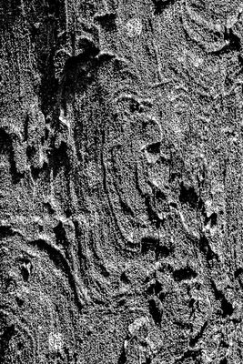 Malaysian Borneo Monochromes