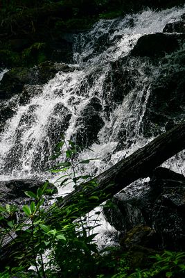 g13/31/528631/3/174677333.4a2eb51c.JPEG