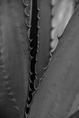 g13/31/528631/3/174677351.1e200c8c.JPEG