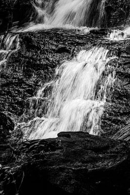 g13/31/528631/3/174680253.9a7114a0.JPEG