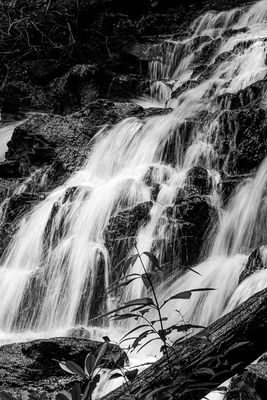 g13/31/528631/3/174680254.1d6a76ef.JPEG