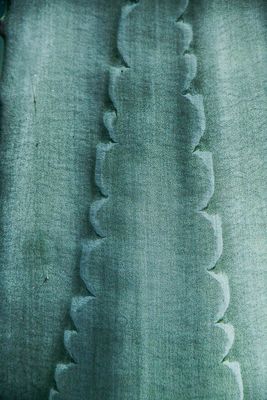 Agave India-2-1962