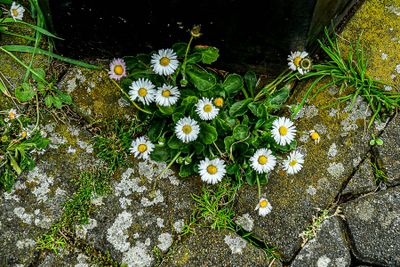 g13/31/528631/3/174772587.ca628aa9.JPEG