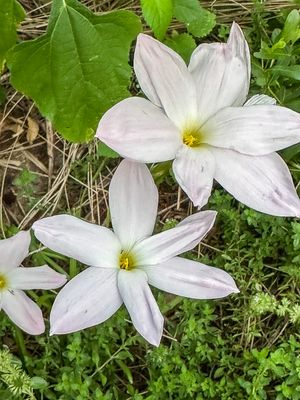 g13/31/528631/3/174783952.a572548d.JPEG