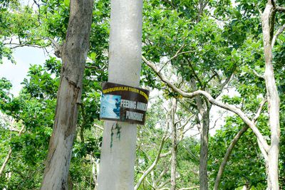 09 04 Mudumalai Tiger Reserve India-2-2139