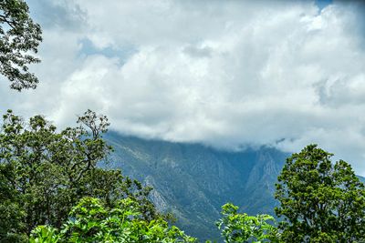 09 04 Climbing into the mountains India-2-2170