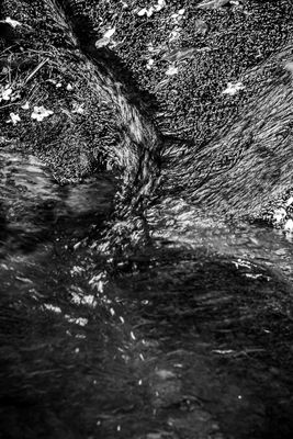 07 01 Mountain stream 6147