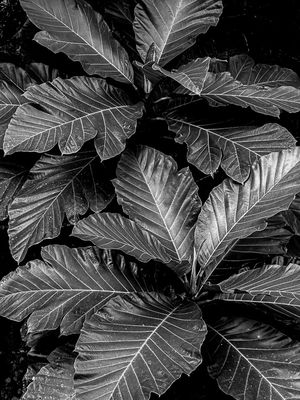 g13/31/528631/3/174911394.a92f6c6c.JPEG