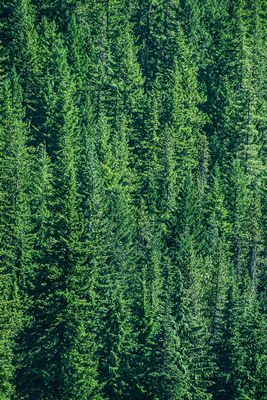 Portland to Bend, OR