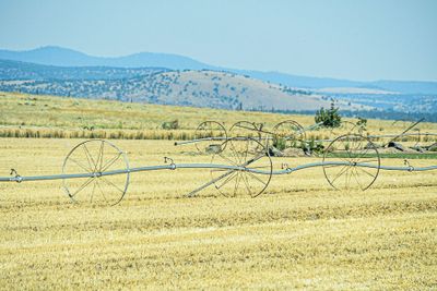 07 18 A lot of hot and dry 7732