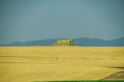 07 18 Stacked big bales 7749