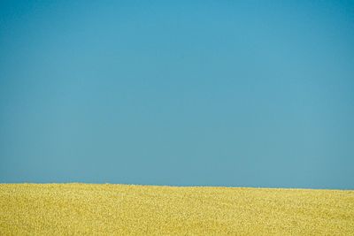 07 18 Sky and grain 7754