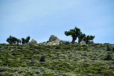 04 02 Landscape Moroc-3958